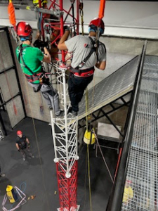 Treballs a Alçada Nivell II TELCO