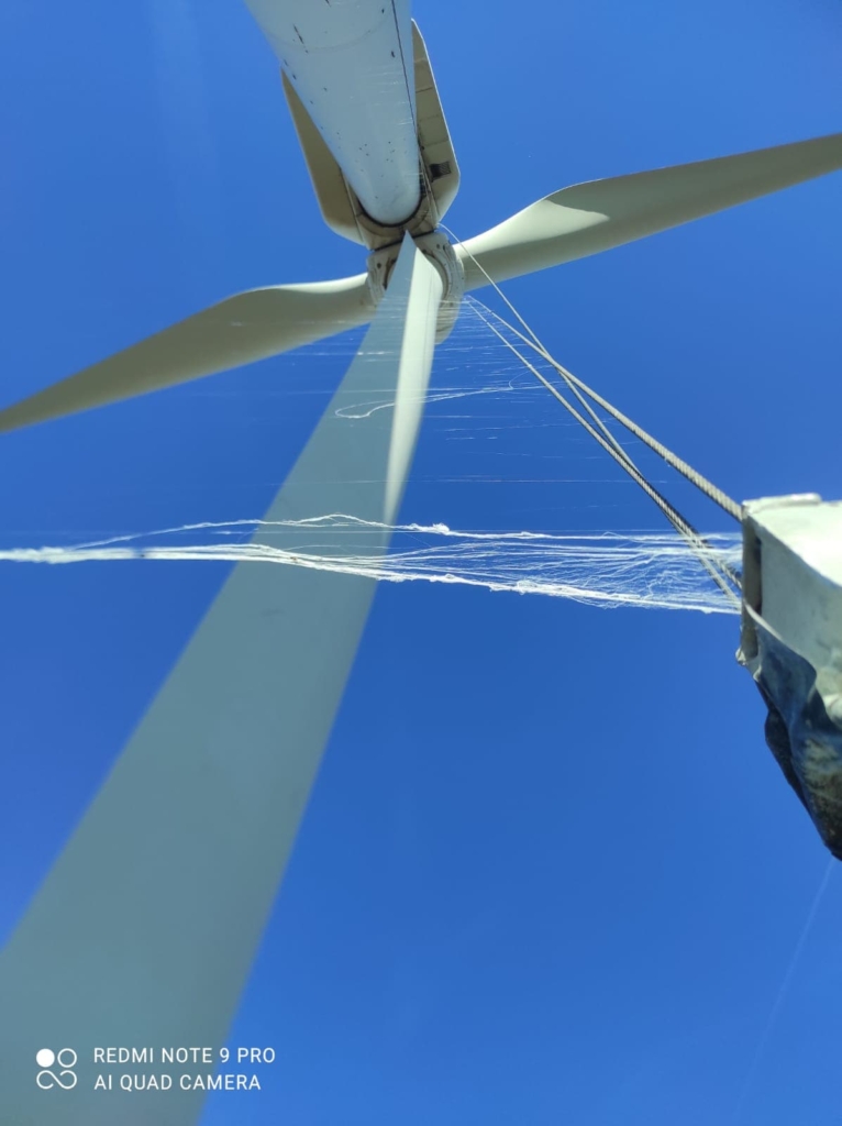 BST MH  Seguridad y Manipulación de Cargas Inicial GWO