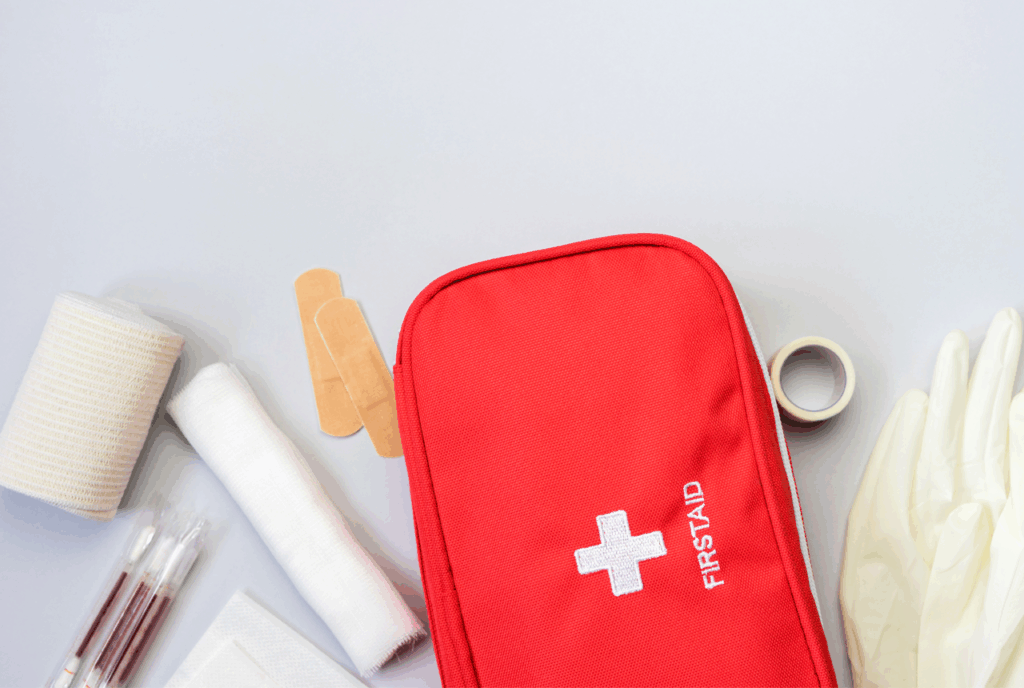 BST FA Primers Auxilis Inicial GWO