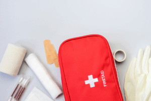 BST FA Primers Auxilis Inicial GWO