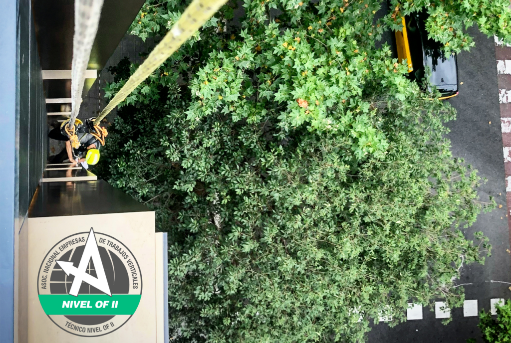 Trabajos Verticales - Curso OF. II ANETVA